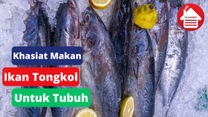 4 Khasiat Makan Ikan Tongkol Untuk Tubuh