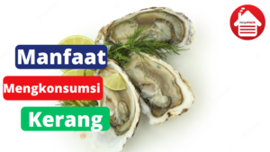 5 Manfaat Mengkonsumsi Kerang 