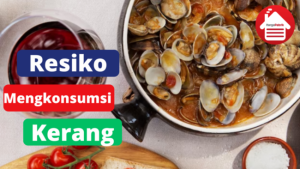 4 Resiko Apabila Sering Mengkonsumsi Kerang 