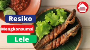 5 Resiko Terlalu Sering Menkonsumsi Ikan Lele 