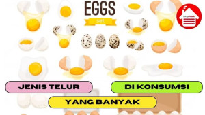 5 Jenis Telur yang Paling Banyak di Konsumsi