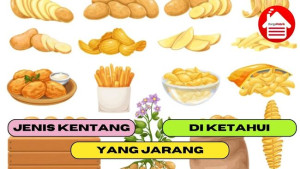 7 Jenis Kentang yang Jarang di Ketahui