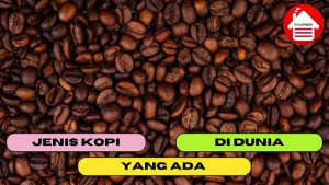 3 Jenis Kopi yang Ada di Dunia