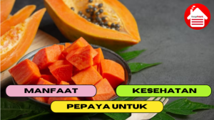 10 Manfaat Mengkonsumsi Pepaya