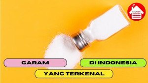 5 Garam Terkenal yang Ada di Indonesia