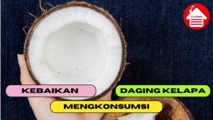 7 Kebaikan Dari Mengkonsumsi Daging Kelapa