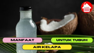 5 Manfaat Besar Dari Air Kelapa Untuk Tubuh