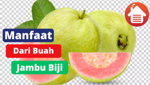 8 Manfaat Besar Dari Buah Jambu Biji 