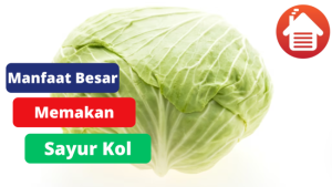 4 Manfaat Besar Dari Memakan Sayur Kol