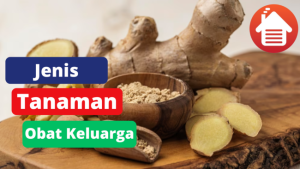 4 Jenis Tanaman Obat Keluarga