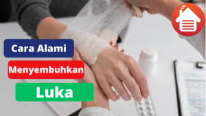 7 Cara Dari Alam Untuk Menyembuhkan Luka