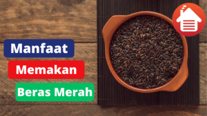 5 Manfaat Dari Memakan Beras Merah