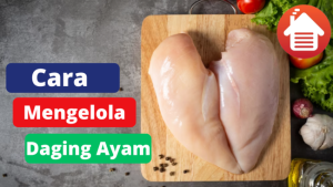 5 Cara Mengelola Daging Ayam