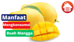 5 Manfaat Dari Mengkonsumsi Buah Mangga 