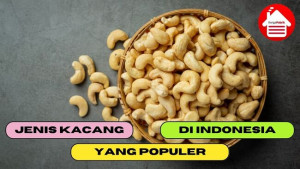 5 Jenis Kacang yang Populer di Indonesia