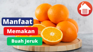 6 Manfaat Memakan Buah Jeruk 