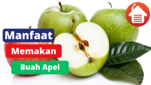 5 Manfaat Memakan Buah Apel