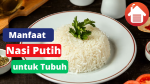 8 Manfaat Mengkonsumsi Nasi Putih Untuk Tubuh