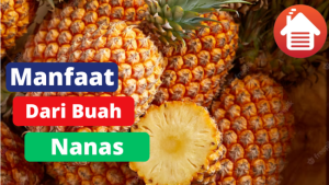 6 Manfaat Dari Mengkonsumsi Buah Nanas