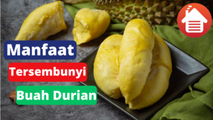 7 Manfaat Tersembunyi Dari Memakan Buah Durian