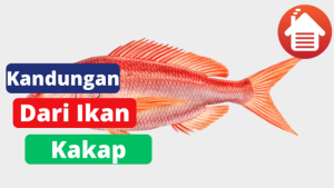 3 Kandungan Dari Ikan Kakap