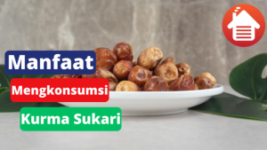 8 Manfaat Mengkonsumsi Kurma Sukari 