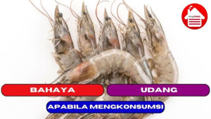 5 Bahaya Apabila Mengkonsumsi Udang