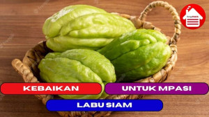 10 Kebaikan Labu Siam Untuk MPASI