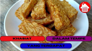 7 Khasiat yang Terdapat di Dalam Tempe