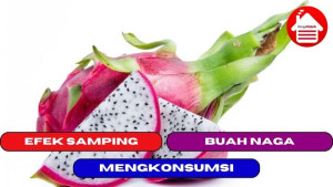 2 Efek Samping Dari Mengkonsumsi Buah Naga