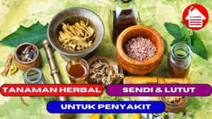 9 Tanaman Herbal Untuk Penyakit Sendi & Lutut