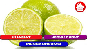 7 Khasiat Mengkonsumsi Jeruk Purut