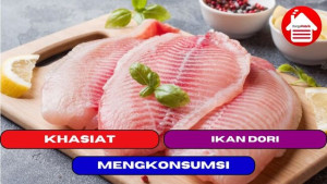 10 Khasiat Memakan Ikan Dori Bagi Tubuh