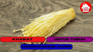 10 Khasiat Mengkonsumsi Jamur Untuk Tubuh