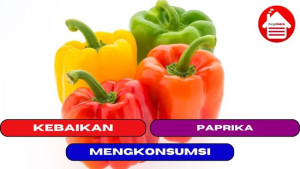 7 Kebaikan Mengkonsumsi Paprika