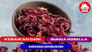 11 Kebaikan Dari Mengkonsumsi Bunga Rosella Untuk Tubuh