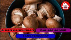 4 Isi yang Wajib di Ketahui dan Kandungan Dalam Jamur