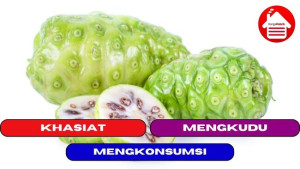 7 Khasiat Dari Mengkonsumsi Buah Mengkudu