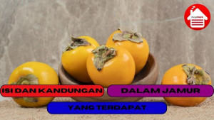 10 Khasiat Mengkonsumsi Buah Kesemek