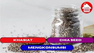 10 Khasiat Mengkonsumsi Chia Seed