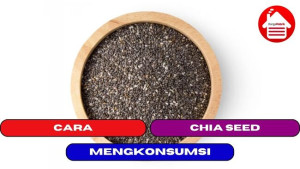 3 Cara Mengkonsumsi Chia Seed