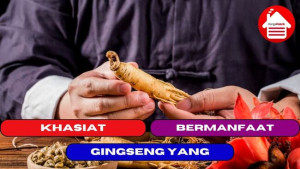 8 Khasiat Gingseng yang Bermanfaat Bagi Tubuh