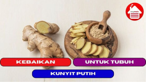 11 Kebaikan Kunyit Putih Untuk Tubuh