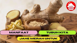 6 Manfaat Jahe Merah Untuk Tubuh Kita