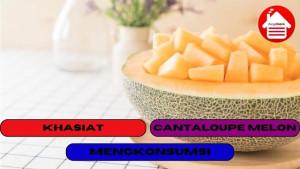 7 Khasiat Mengkonsumsi Cantaloupe Melon