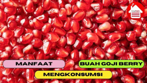 8 Manfaat Mengkonsumsi Buah Goji Berry Untuk Tubuh