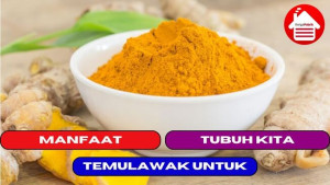 13 Manfaat Mengkonsumsi Temulawak Untuk Tubuh