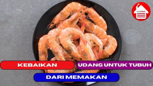 11 Kebaikan Dari Memakan Udang Untuk Tubuh