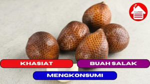 12 Khasiat Mengkonsumsi Buah Salak Untuk Tubuh