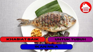 10 Khasiat Baik dari Mengkonsumsi Ikan Nila